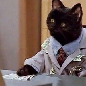 Meet your Posher, Violet